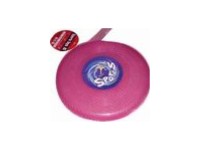 21564 - Frisbee
